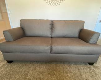 Sleeper sofa, like new condition.