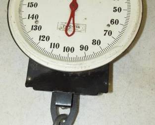 Hanging Scales