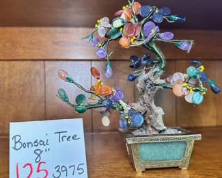 Bonsai Tree