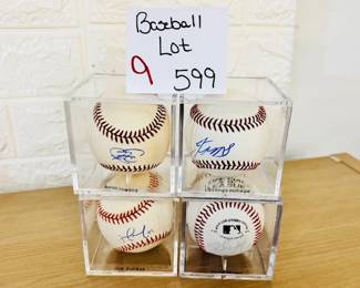 Baseball Lot