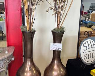 Decor Plants with Vase