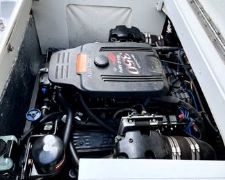 Mercruiser 350 motor