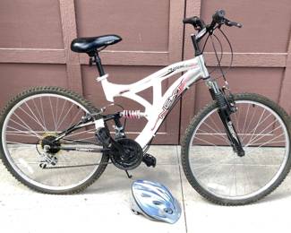 Ascent Next Aluminum 26 Bike