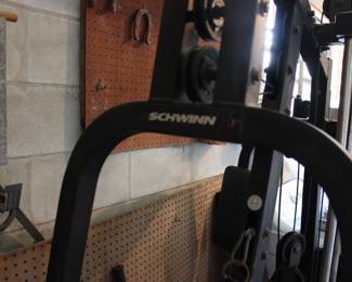 SCHWINN EXERCISE STATION 