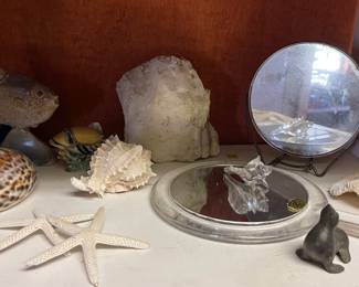 SEA SHELLS