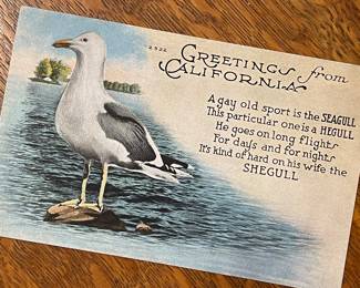 LOVELY VINTAGE CALIFORNIA POSTCARD