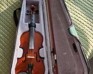 Beginners Violin