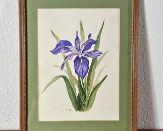 Lot #142 - 1971 Betty Curns Smith Original Watercolor Iris Flower Signed B. Smith Framed 12x15