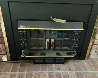 Fireplace insert
