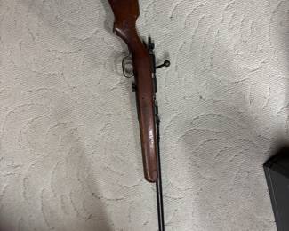 22 S-L long rifle