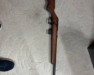 22 shot shell only