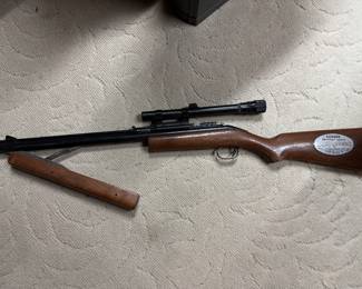 Pellet gun