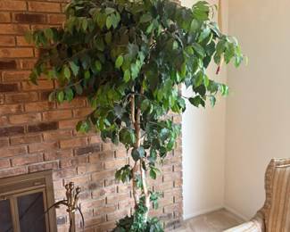 . . . faux ficus