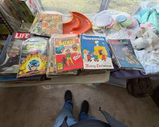 . . . 1950's-'60's comic books