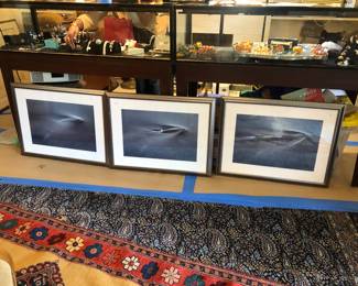 Amazing trio of Whale photographs; sold as a the trio