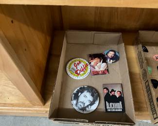 Country Singer Pins