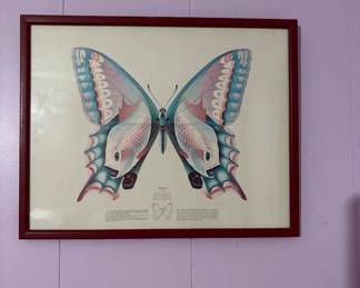 butterfly painting