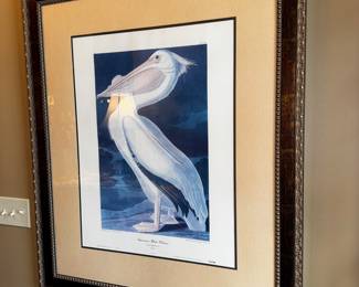John J Audubon White Pelican 