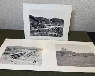 Three Black White Scenery Photographs