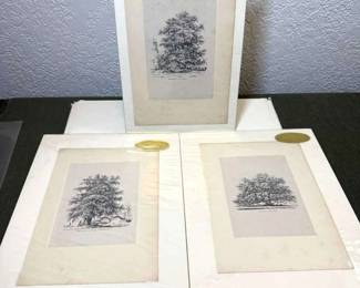 Three Jacob George Strutt Antique Etchings