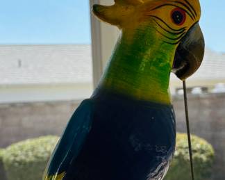 Attention Parrot Heads, your mascot is here.