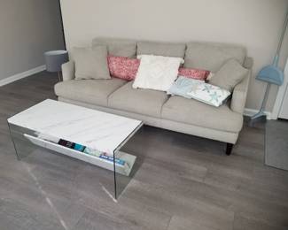 Contemporary couch; magazine storage coffee table