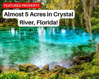 Build on Almost Five Acres in Citrus County, Florida