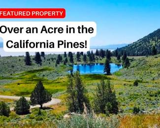 Build in the California Pines