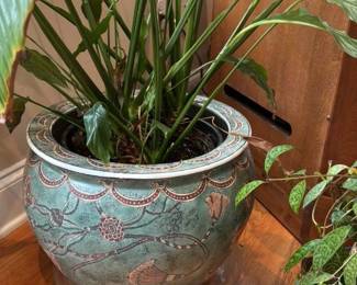 Decorative Ceramic Planter with Peace Lily 