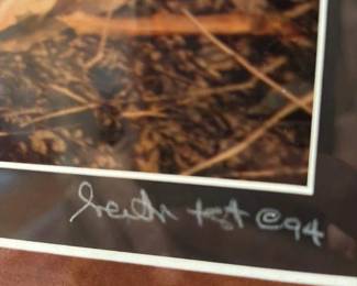 My Brother's Keeper Photograph 