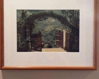 Framed Photograph of a Garden Scene 