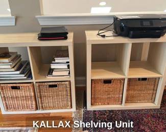 KALLAX Shelving Unit 