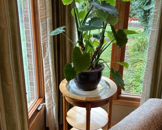 Three tier table, plant