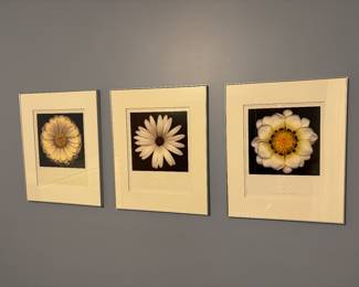 Art - flowers