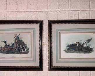 Framed Set of Duck Prints Mallard  Dusky Duck