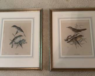 Framed Whitethroat  Pallas Warbler Bird Prints 2  Signed