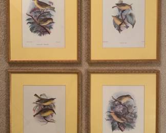 Framed Set of Bird Prints with Yellow Mats