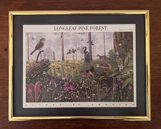 Framed USPS Longleaf Pine Forest Stamps Sheet