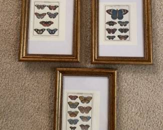 Set Of 3 Butterly Prints on Small Paper
