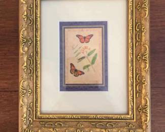 Framed Vintage Butterfly Life Stages with Milkweed