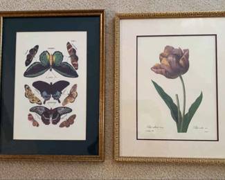Framed Butterflies Tulip Prints