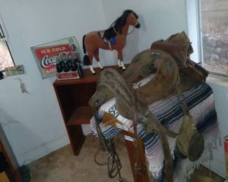 Mc ClelIen calvery saddle from camp barrett,  campo
