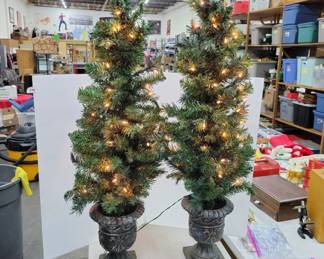 Christmas Trees in Pots Light Up 4' Tall