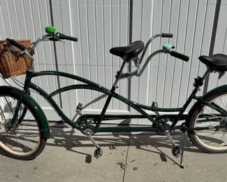 Electra Built for two