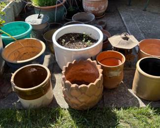 lots of garden states and decor