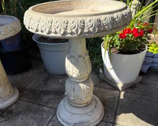 lots of garden states and decor