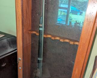 One gun but we have a case as well