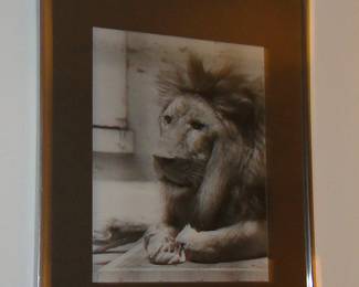 Lion art