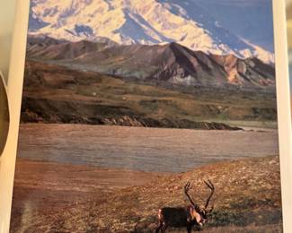 hardcover book on Alaska