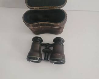 Yep. A pair of cool men's opera glasses early 1900s. You never know what you'll find at this sale.